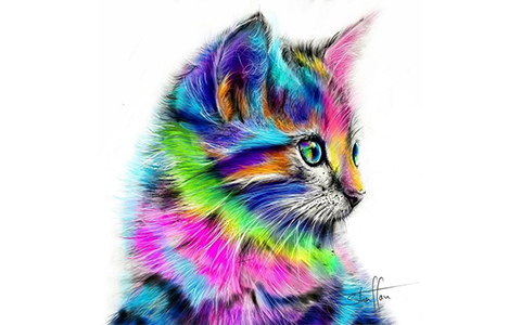 小心这张图片！《Rainbow Cat》彩虹猫版权画发起维权，抓紧时间排查!